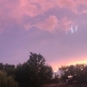 Meet your Posher, Norma